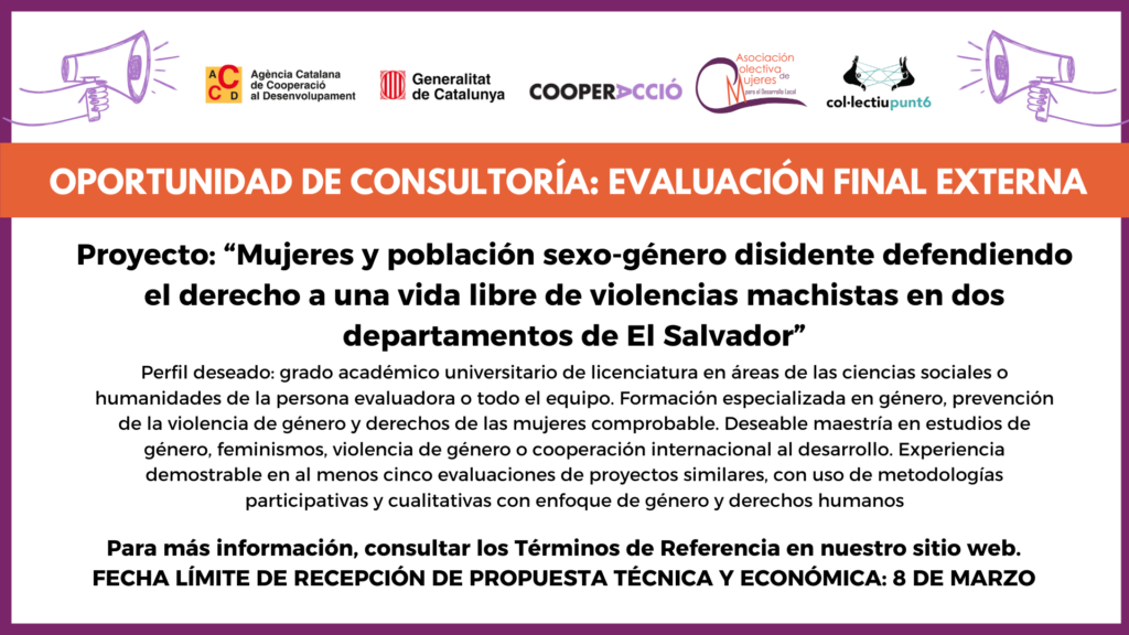 Términos de Referencia Evaluación externa de Proyecto: “Mujeres y población sexo-género disidente defendiendo el derecho a una vida libre de violencias machistas en dos departamentos de El Salvador”