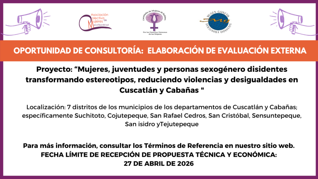 Oportunidad de consultoría: Elaboración de evaluación externa (equipo Norte)