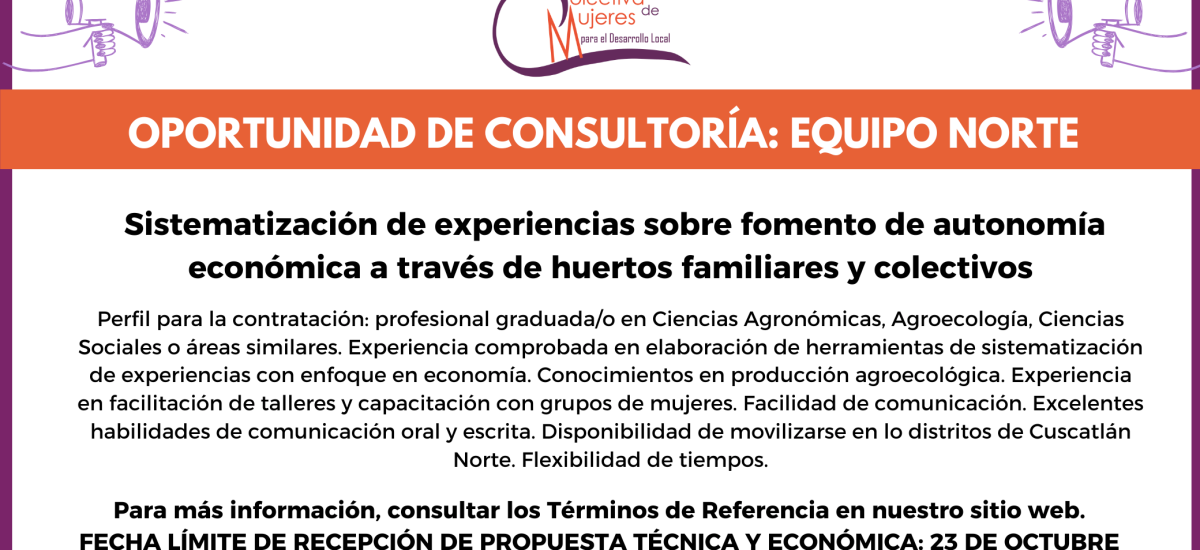 TDR SISTEMATIZACIÓN